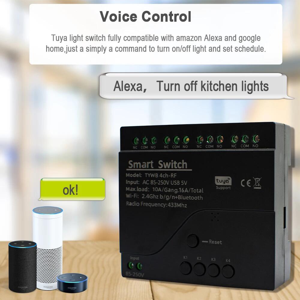 Tuya AC 85-250V 4 Channel Wifi - Sonoff Mini R4 review and price